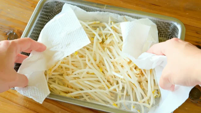 すぐ傷むもやしを長持ちさせる！冷蔵・冷凍保存の正しい方法